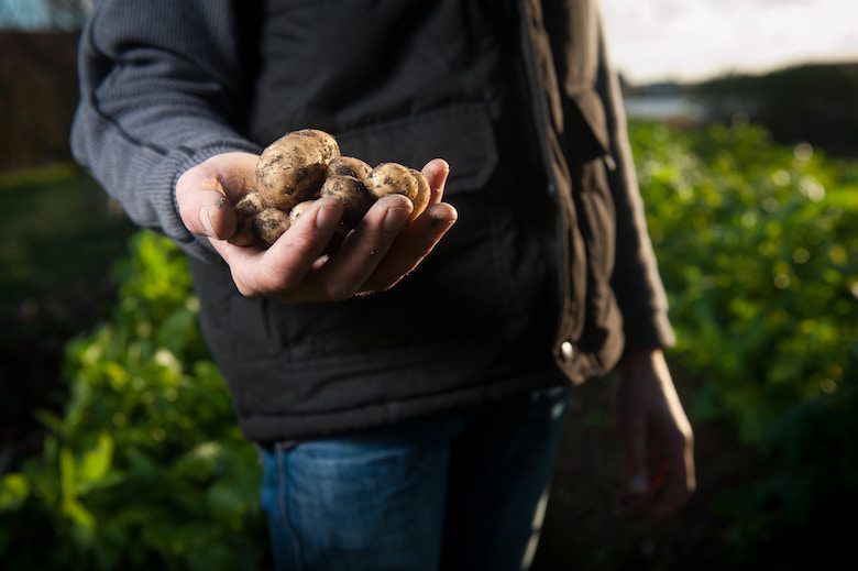 local farmer supplier